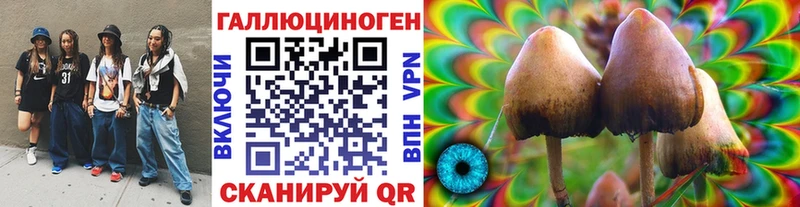 Псилоцибиновые грибы Magic Shrooms Комсомольск-на-Амуре