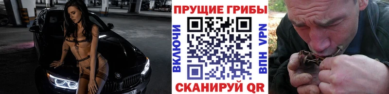 Купить где  Комсомольск-на-Амуре  Псилоцибиновые грибы Psilocybe 